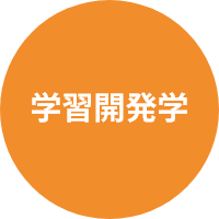 学習開発学